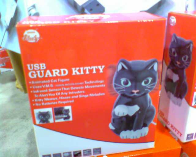 Here Kitty,Kitty
